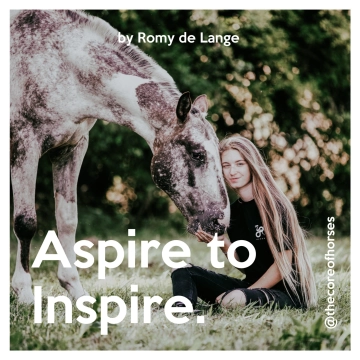 Aspire to Inspire by The Core of Horses