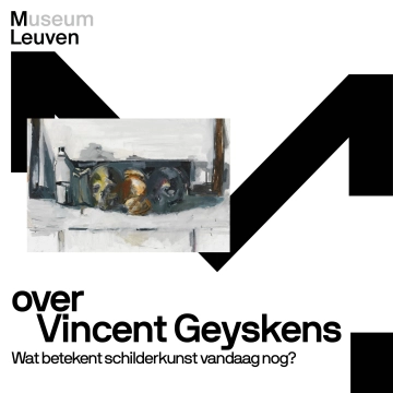 Over Vincent Geyskens